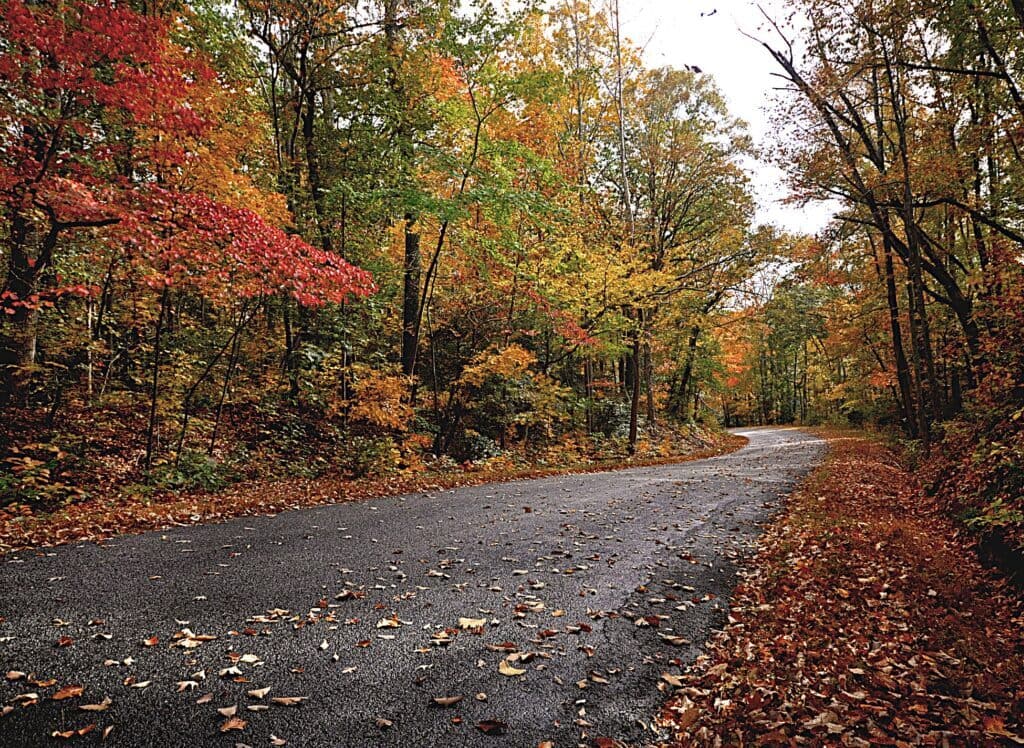 Pleasant Pointe Pleasant Pointe