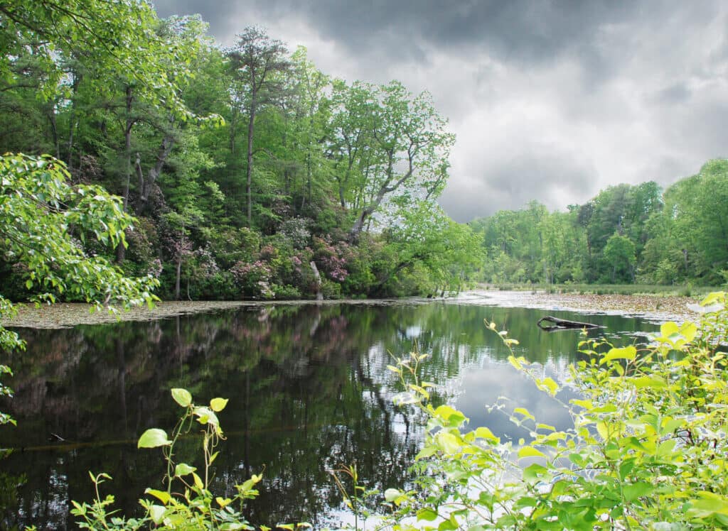 Pleasant Pointe Pleasant Pointe