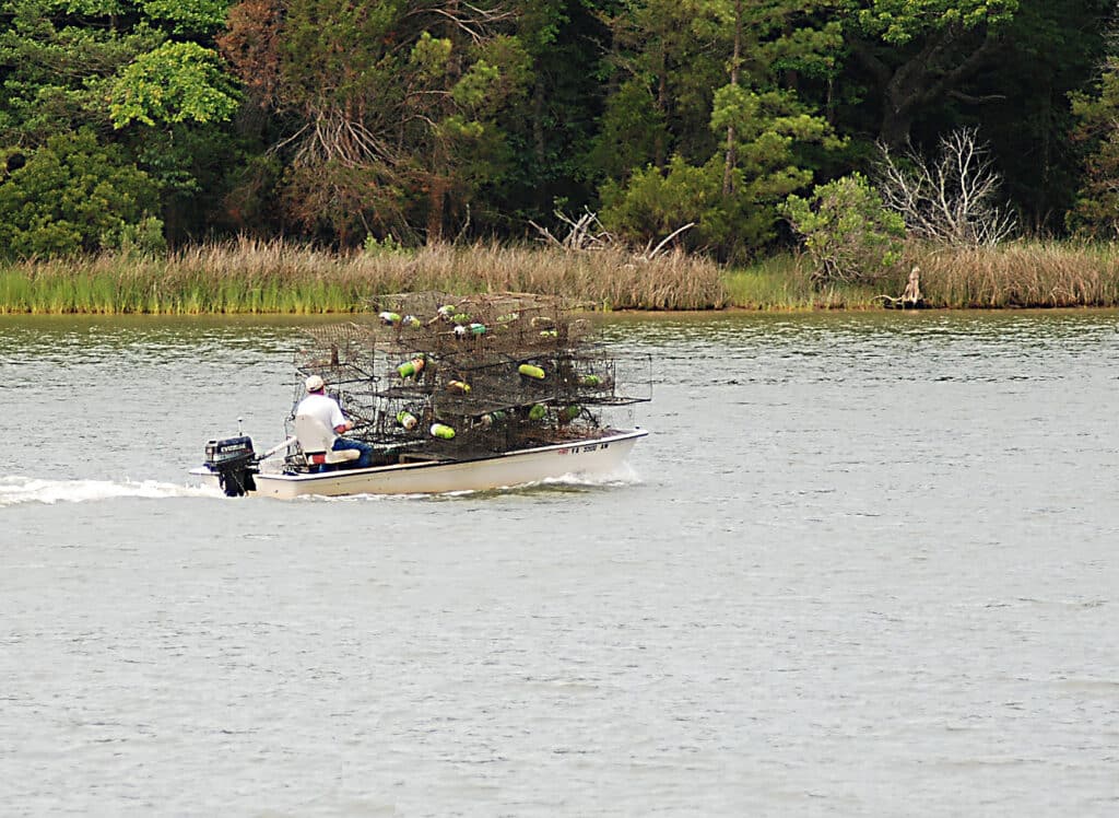 Pleasant Pointe Pleasant Pointe