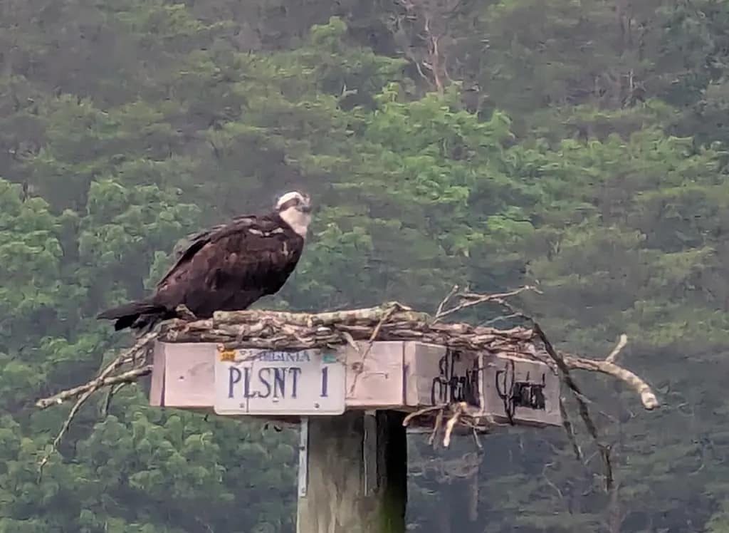 Pleasant Pointe Pleasant Pointe