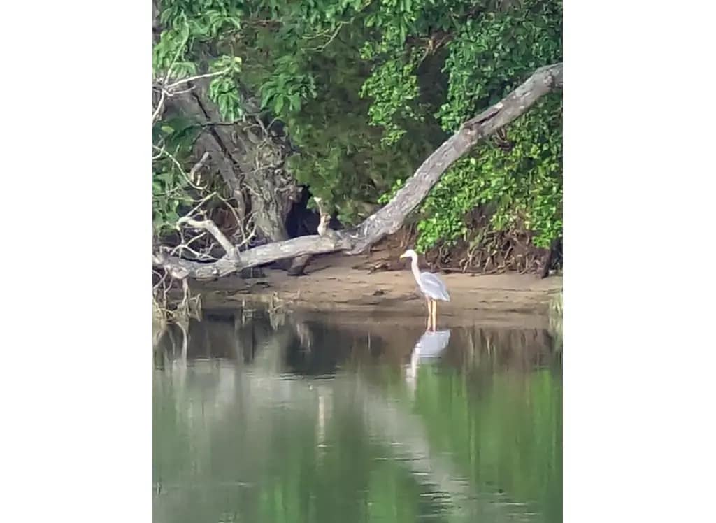 Bridgeman's Creek Bridgeman's Creek